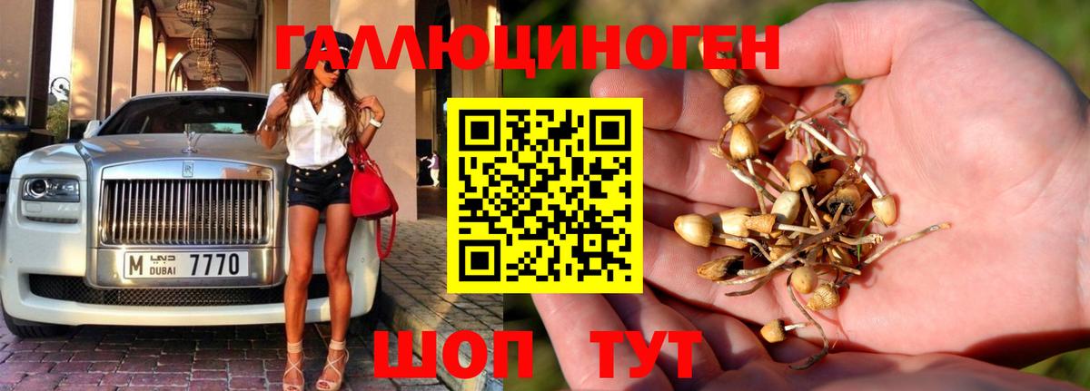 Галлюциногенные грибы Psilocybine cubensis Гагарин